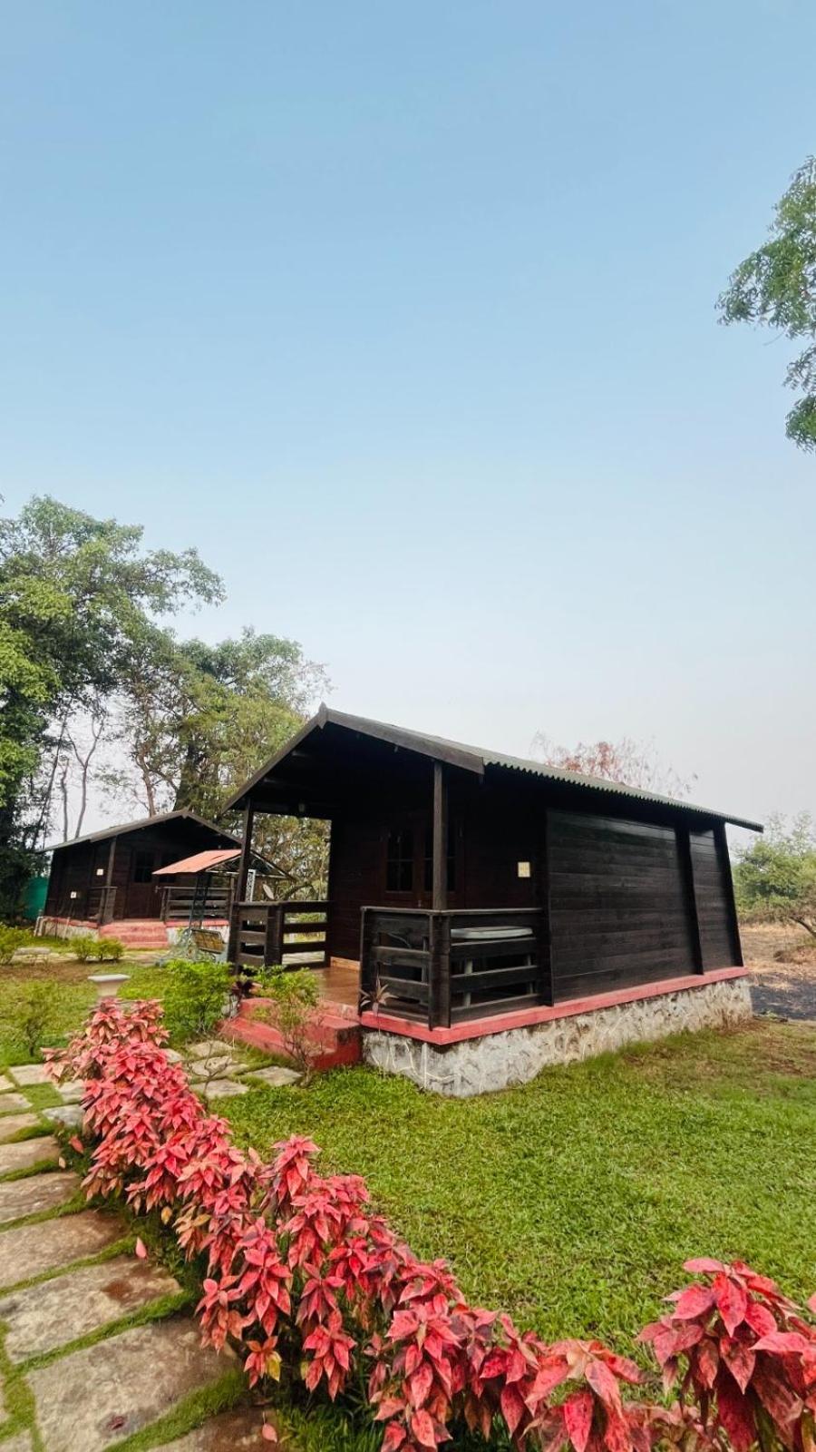 Cocorico Stay Ya! Cottages 阿里巴格 外观 照片