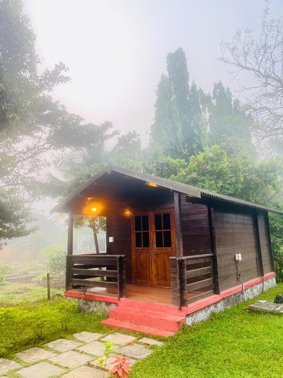 Cocorico Stay Ya! Cottages 阿里巴格 外观 照片