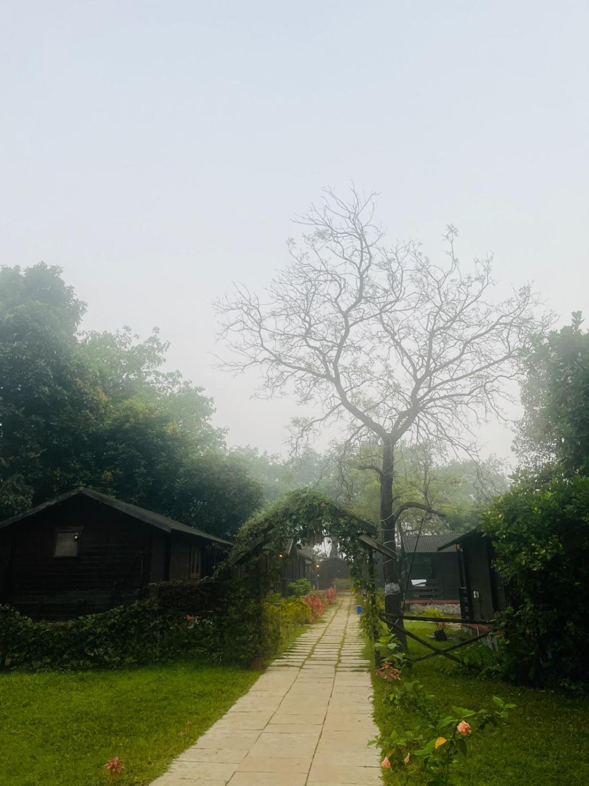Cocorico Stay Ya! Cottages 阿里巴格 外观 照片